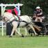 MTCC Driving Derby